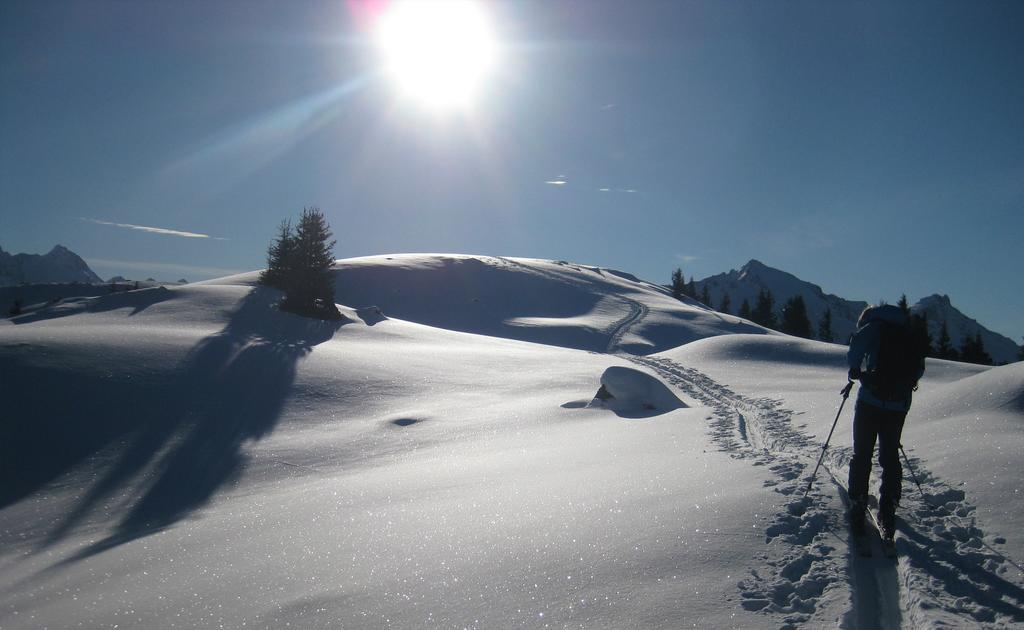 Pension Steiermark Schladming Extérieur photo